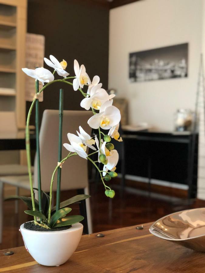 Apartament Mundo-Abeona Tudela Zewnętrze zdjęcie